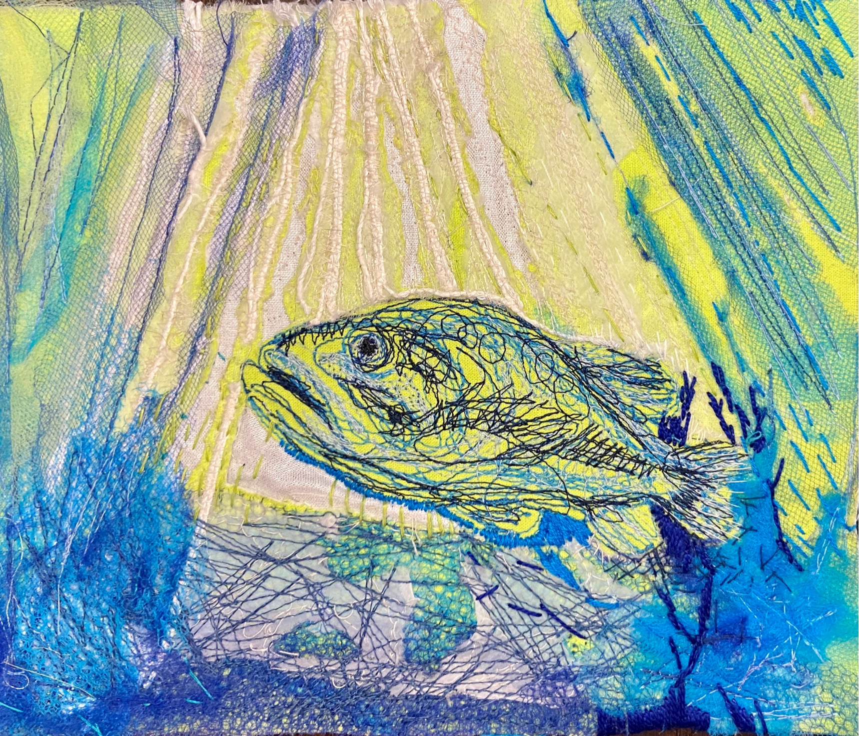 Elyse Gambino Fish