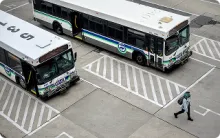 CATA Buses